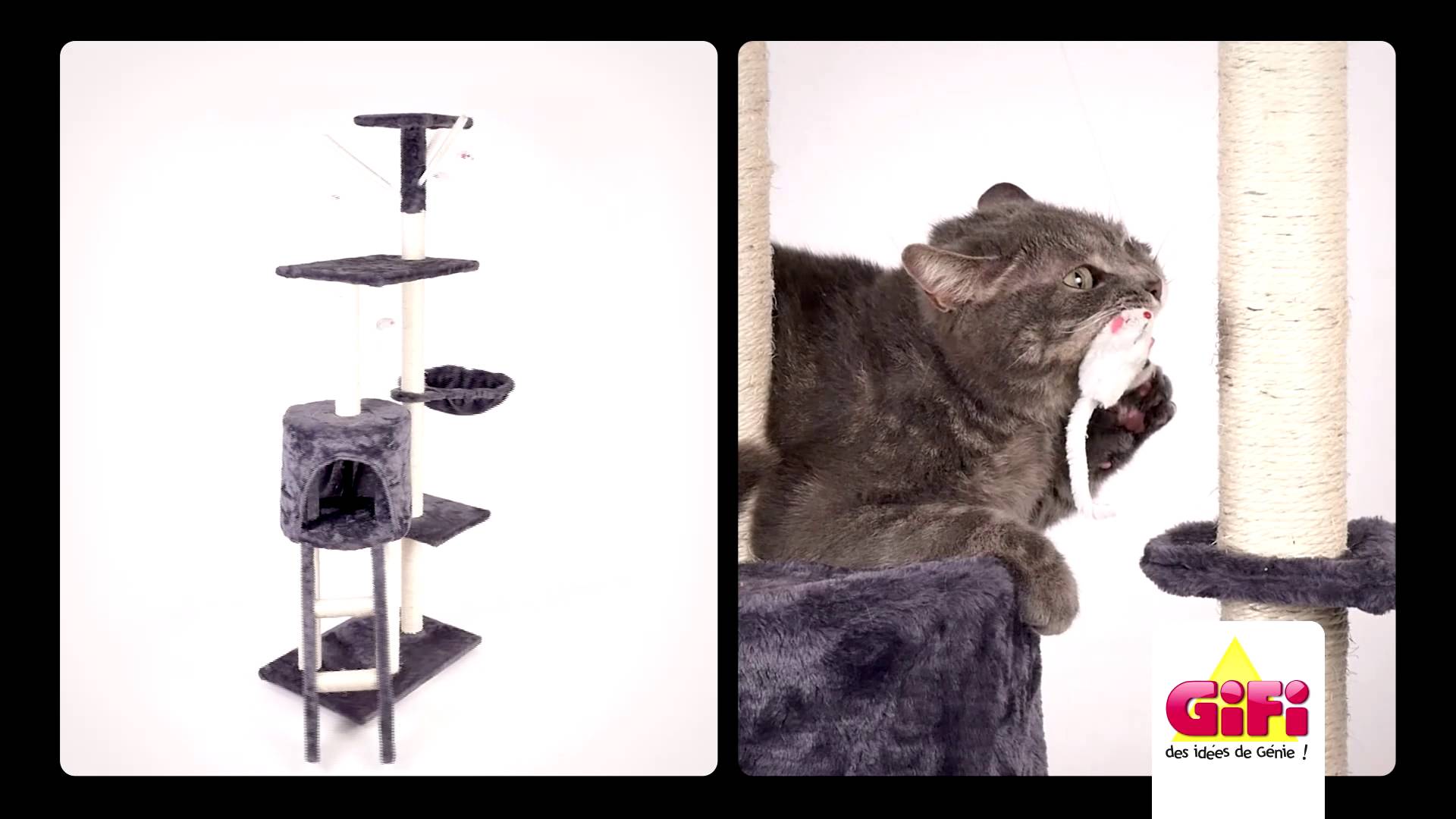 arbre a chat gifi montage